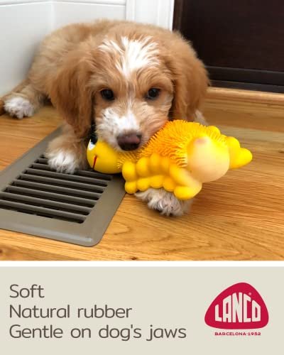 Sensory Caterpillar Dog Toy - Soft Natural Latex for Puppies & Small Dogs - Image 3