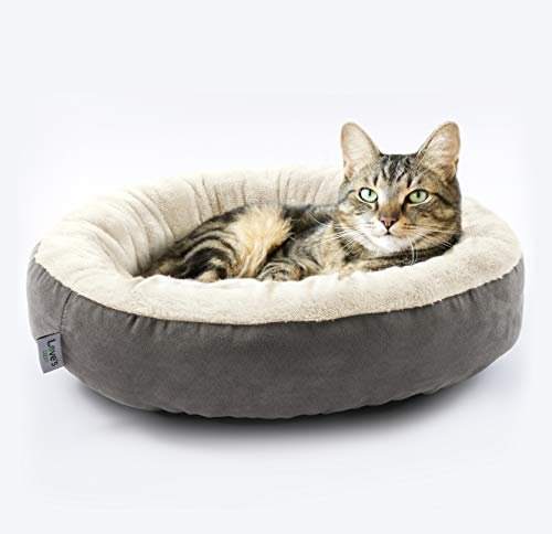 Plush Donut Pet Bed: Cozy 20" Round Cushion for Cats & Small Dogs, Gray - Image 8