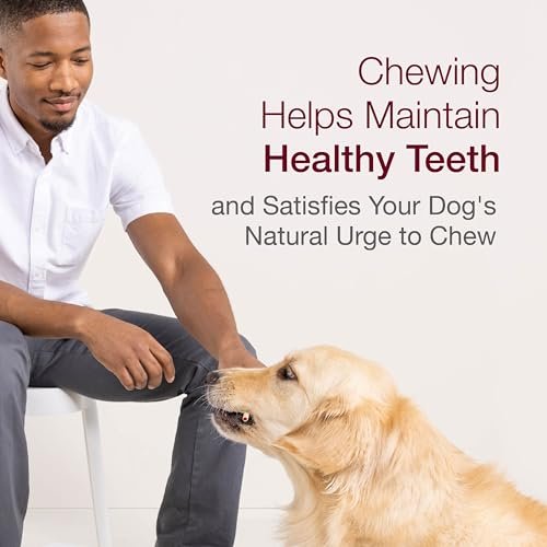 SmartBones SmartSticks Rawhide-Free Dog Chews with Chicken, 10 Pack - Image 6