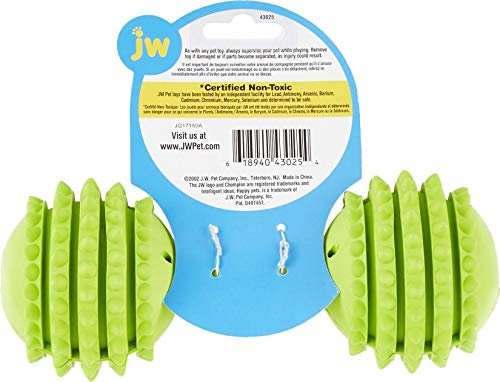 JW Pet Chompion Heavyweight Dog Chew Toy for Large Dogs, Durable - Image 8