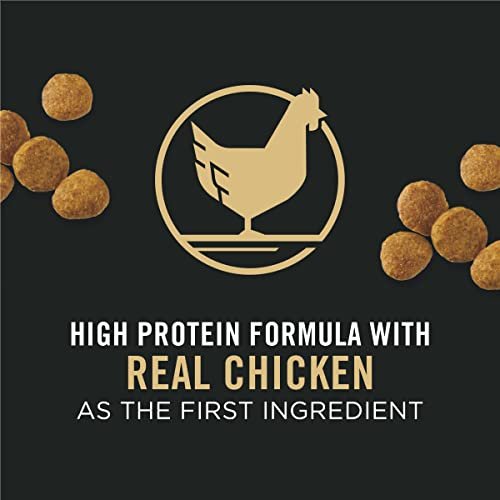 Purina Pro Plan Puppy Food Chicken & Rice High Protein, 6 lb Bag - Image 2