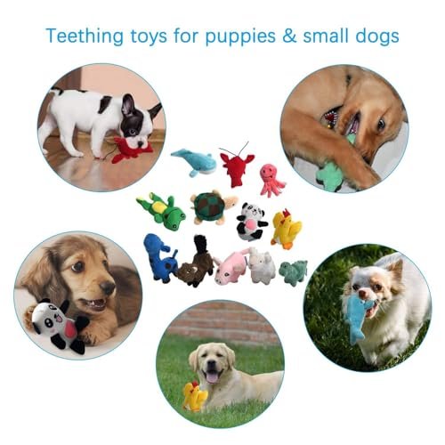 LEGEND SANDY 12-Pack Squeaky Plush Dog Toys for Small Dogs & Puppies - Image 5