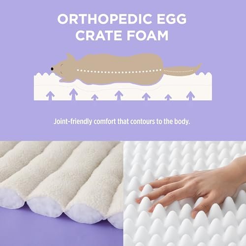 Orthopedic Large Dog Bed Sofa: Waterproof, Washable, Comfy Pet Couch - Cream 35" - Image 3