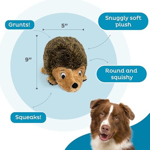 Outward Hound Medium Hedgehog Plush Dog Toy – Squeaky & Soft - Image 3