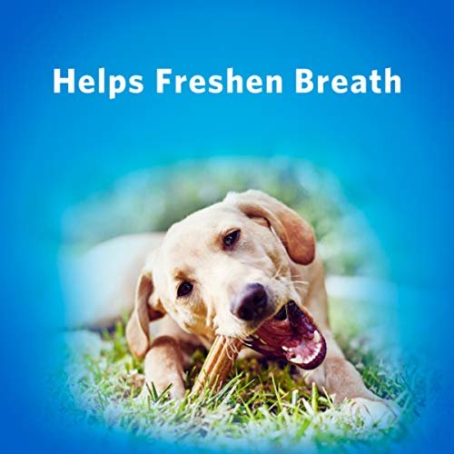 Purina DentaLife Large Dog Dental Chews, 18 Ct – USA Made & Daily Care - Image 12
