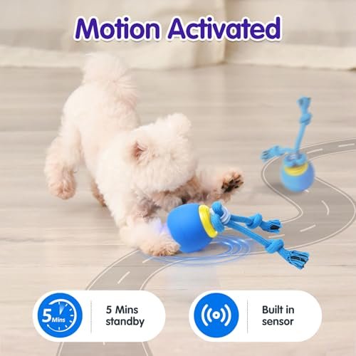 Oxawo Interactive Rechargeable Dog Ball with Sounds for Indoor & Outdoor Play - Image 2