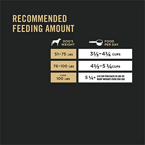 Purina Pro Plan Large Breed Dog Food Chicken & Rice, Joint Support 34 lb - Image 9