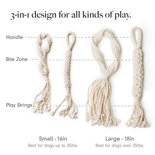 Eco-Friendly Cotton Rope Dog Toys 2-Pack – Durable & Trainer Support - Image 4