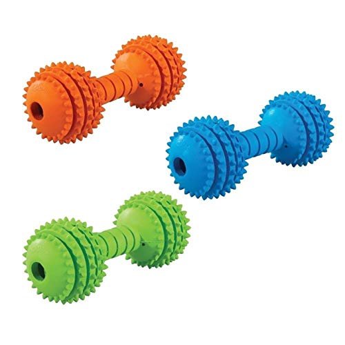 JW Pet Chompion Heavyweight Dog Chew Toy for Large Dogs, Durable - Image 6