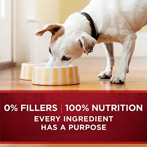 Purina ONE True Instinct Wet Dog Food with Beef & Salmon, 13oz, 12 Pack - Image 8