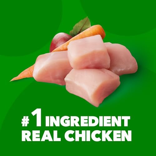 IAMS Minichunks Adult Dry Dog Food Chicken & Whole Grains, 7 lb Bag - Image 2