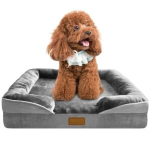 Spotted Play Orthopedic Dog Bed with Sides - Dog Sofa Beds for Small Dogs, Supportive Foam Pet Couch Bed with Washable Removable Cover, Waterproof Lining and Non-Slip Bottom, Grey - S