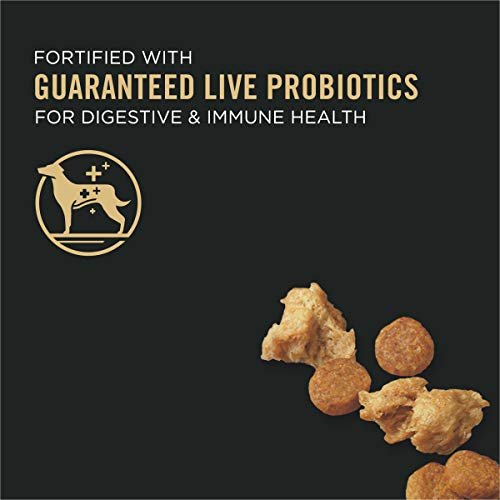Purina Pro Plan Senior Dog Food Chicken & Rice with Probiotics, 6 lb - Image 2