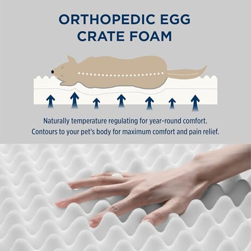 Orthopedic Large Dog Bed: Waterproof Egg Foam, Soft Corduroy Comfort Mat - Image 2