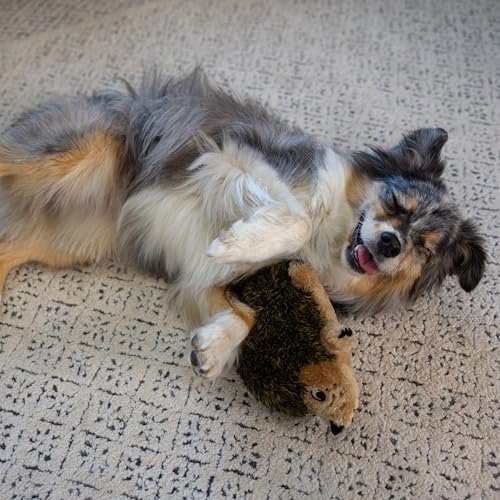 Outward Hound Medium Hedgehog Plush Dog Toy – Squeaky & Soft - Image 2