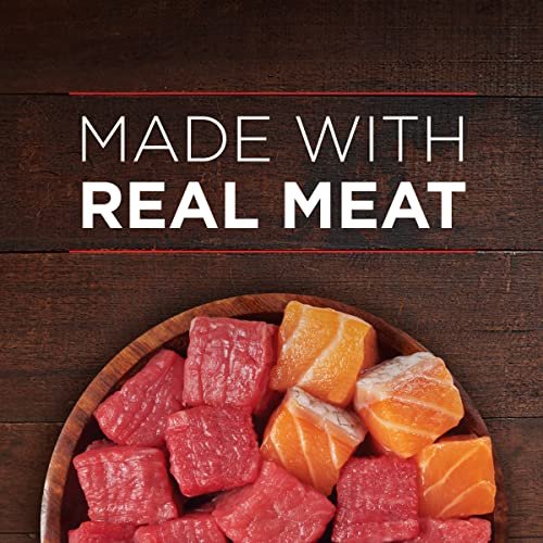 Purina ONE True Instinct Wet Dog Food with Beef & Salmon, 13oz, 12 Pack - Image 5