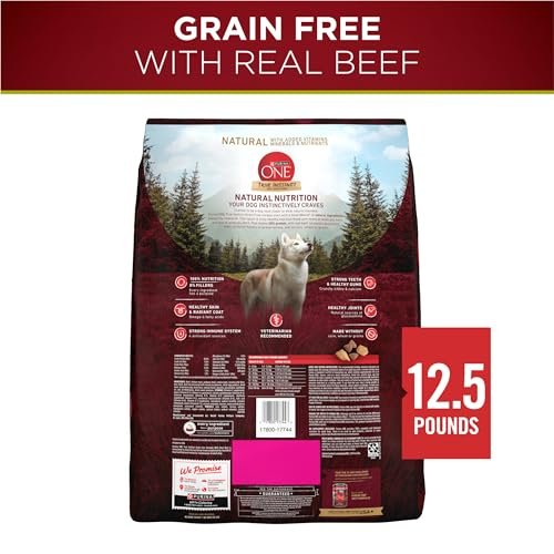 Purina ONE True Instinct Grain-Free High-Protein Beef Dog Food, 12.5 lb - Image 6