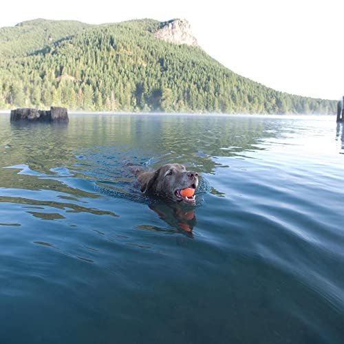Chuckit! Ultra Ball XL: Tough Floating Dog Toy for Large Breeds, 3.5" Durable Rubber - Image 2