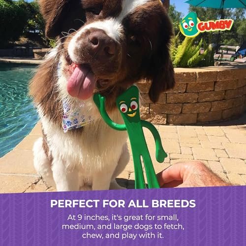 Gumby Latex Dog Toy 9" – Squeaky, Durable, Easy-Clean Pet Toy - Image 7
