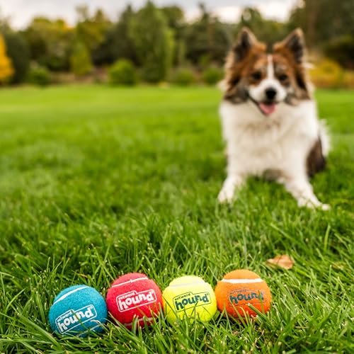 Outward Hound Small Squeaker Ballz Dog Toy Pack – 4 Durable Balls - Image 5