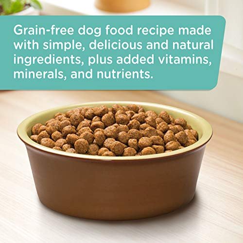 Grain Free Salmon & Sweet Potato Dog Food by Rachael Ray, 23 lb Bag - Image 4
