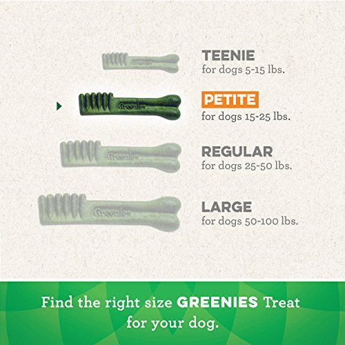 Greenies Petite Dog Dental Treats, 60 Count – Natural & VOHC Approved - Image 7