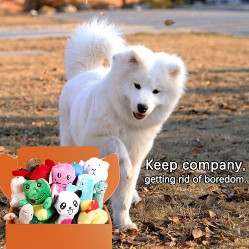 LEGEND SANDY 12-Pack Squeaky Plush Dog Toys for Small Dogs & Puppies - Image 6