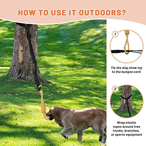 Dog Bungee Tug Toy for Pitbulls – Tree Hanging Chew & Exercise Rope - Image 5