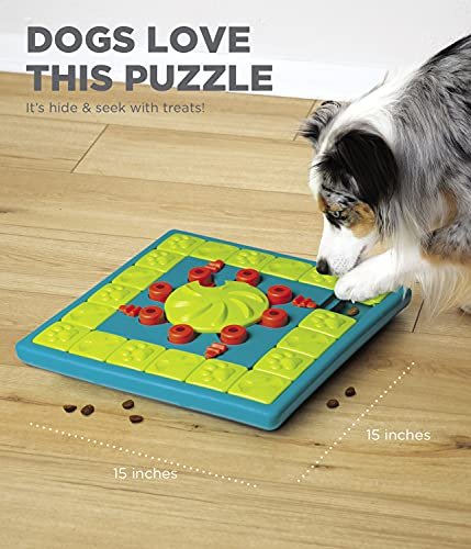 Expert Dog Puzzle Toy Level 4 by Outward Hound for Smart Playtime - Image 7