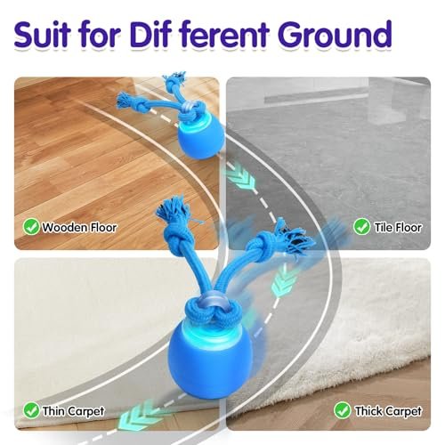 Oxawo Interactive Rechargeable Dog Ball with Sounds for Indoor & Outdoor Play - Image 6