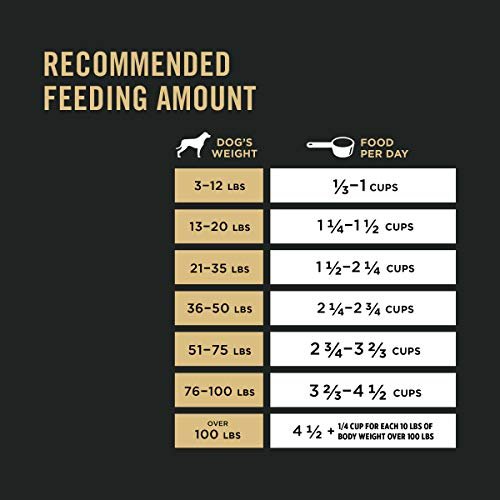 Purina Pro Plan Senior Dog Food Chicken & Rice with Probiotics, 6 lb - Image 9