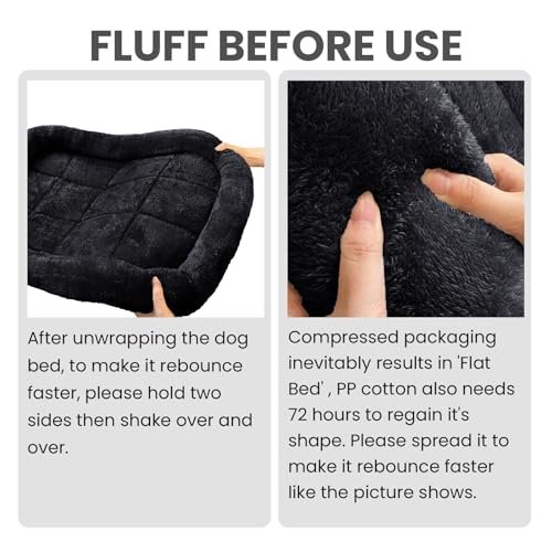 Cozy Foam Dog Bed for Extra Small Breeds 16"x12" - Washable & Soft - Image 4