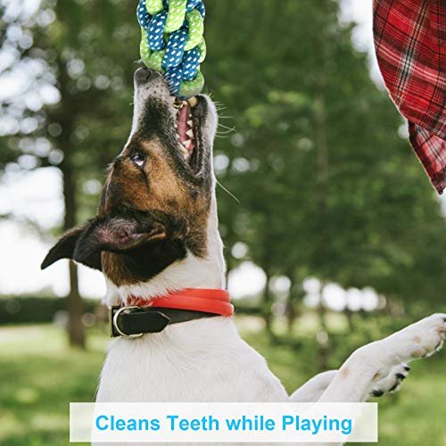 Depets 4-Pack Durable Puppy Rope Chew Toys for Teething & Play - Image 3