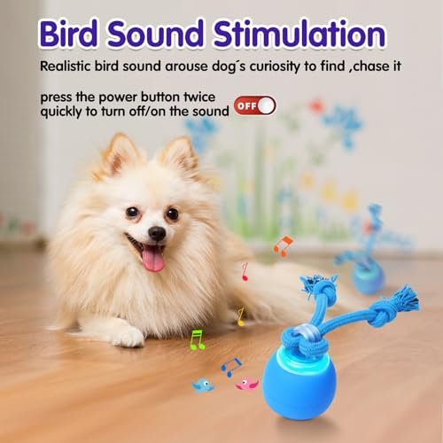 Oxawo Interactive Rechargeable Dog Ball with Sounds for Indoor & Outdoor Play - Image 4