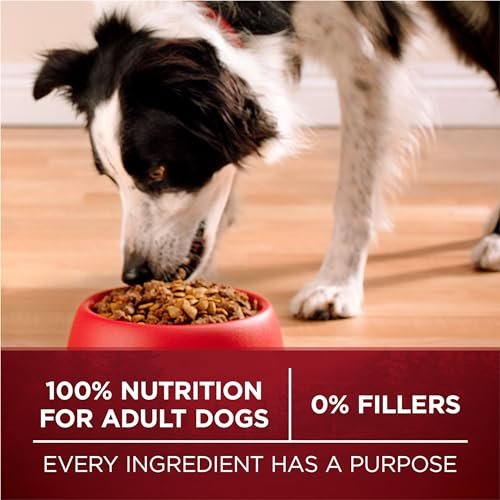Purina ONE True Instinct Grain-Free High-Protein Beef Dog Food, 12.5 lb - Image 8