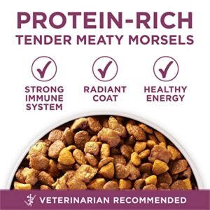Purina ONE Plus Healthy Puppy Formula High Protein Natural Dry Puppy Food with added vitamins, minerals and nutrients - 8 lb. Bag