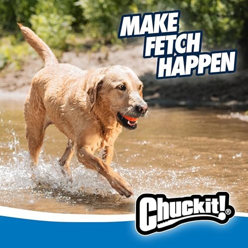 Chuckit! Ultra Ball XL: Tough Floating Dog Toy for Large Breeds, 3.5" Durable Rubber - Image 7