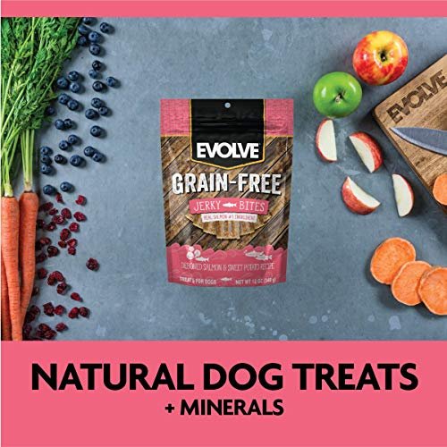 Evolve Grain Free Salmon & Sweet Potato Dog Jerky Treats - Image 7