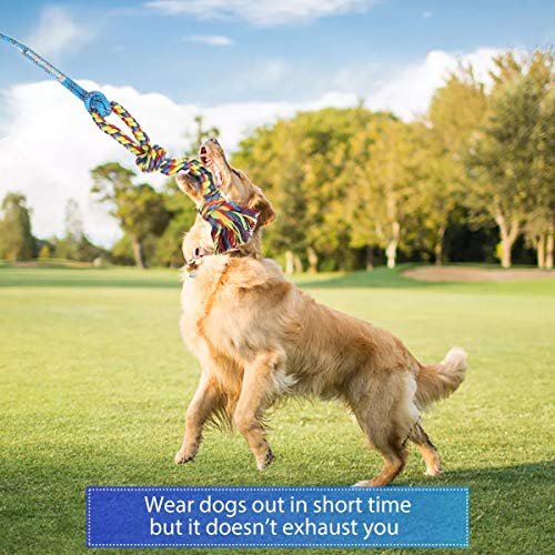 DIBBATU Dog Flirt Pole Tug Toy – Interactive Training & Exercise Wand - Image 5