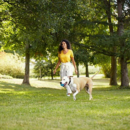 Grain Free Salmon & Sweet Potato Dog Food by Rachael Ray, 23 lb Bag - Image 8