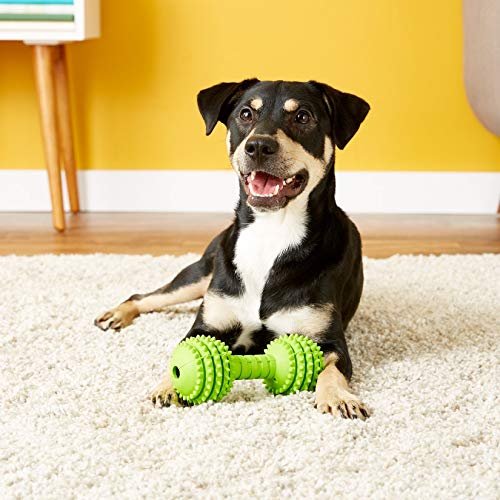 JW Pet Chompion Heavyweight Dog Chew Toy for Large Dogs, Durable - Image 2