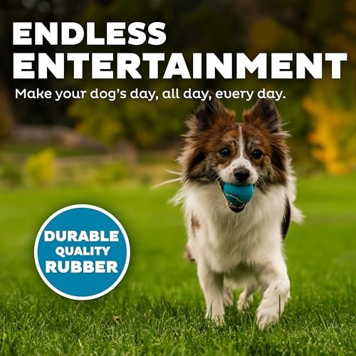 Outward Hound Small Squeaker Ballz Dog Toy Pack – 4 Durable Balls - Image 4