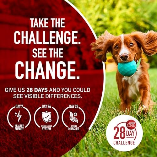 Purina ONE True Instinct Grain-Free High-Protein Beef Dog Food, 12.5 lb - Image 10