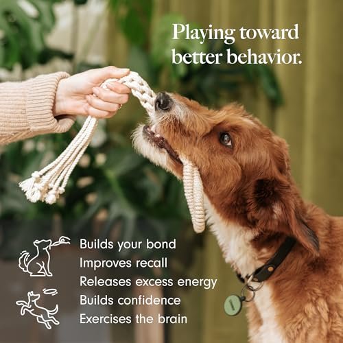 Eco-Friendly Cotton Rope Dog Toys 2-Pack – Durable & Trainer Support - Image 2
