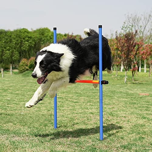Dog Agility Training Kit with Tunnel, Hurdle, Toys & Carry Bag - Image 7