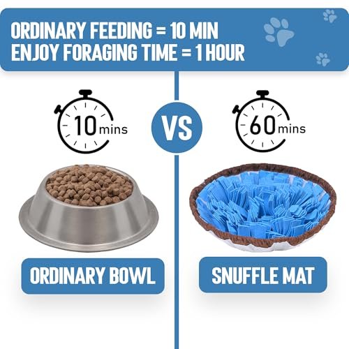 PET ARENA Dog Snuffle Mat - Interactive Slow Feeder for Mental Stimulation - Image 7