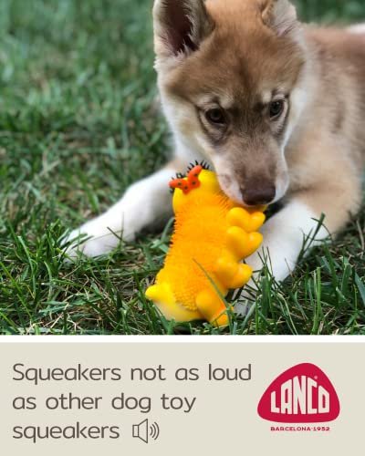 Sensory Caterpillar Dog Toy - Soft Natural Latex for Puppies & Small Dogs - Image 6