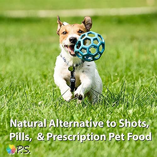 Hypoallergenic Dog Food for Allergies – Stop Paw Licking & Itching - Image 6