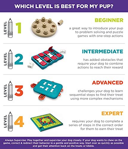 Expert Dog Puzzle Toy Level 4 by Outward Hound for Smart Playtime - Image 9
