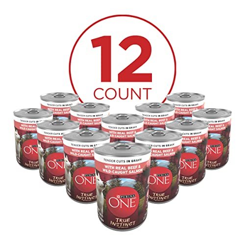 Purina ONE True Instinct Wet Dog Food with Beef & Salmon, 13oz, 12 Pack - Image 2